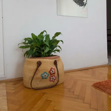 Apartmán Bacic